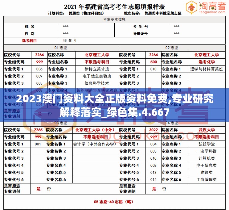 2023澳门资料大全正版资料免费,专业研究解释落实_绿色集.4.667