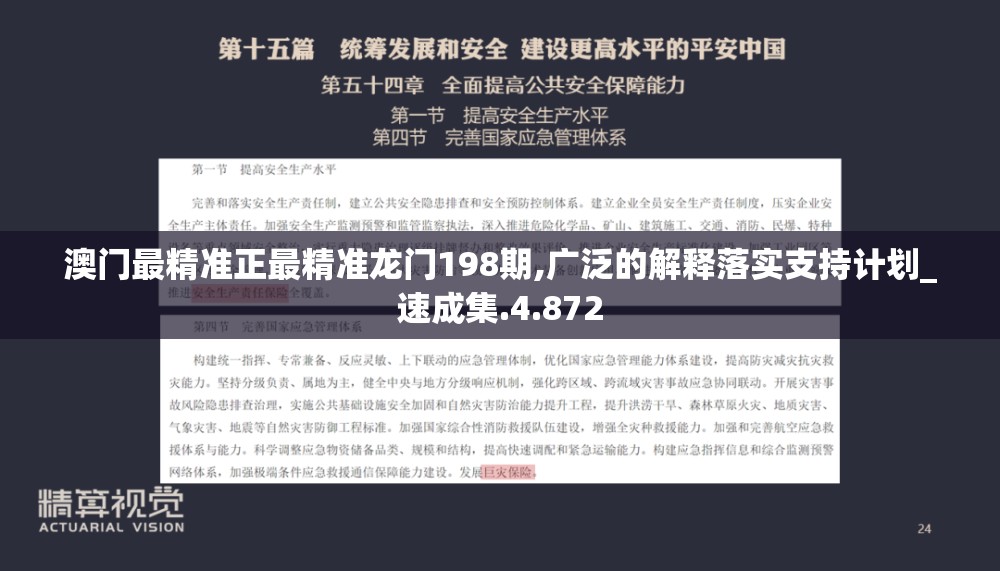 澳门最精准正最精准龙门198期,广泛的解释落实支持计划_速成集.4.872