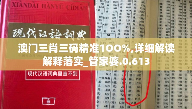 澳门三肖三码精准1OO%,详细解读解释落实_管家婆.0.613