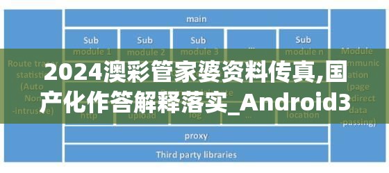 2024澳彩管家婆资料传真,国产化作答解释落实_Android3.528