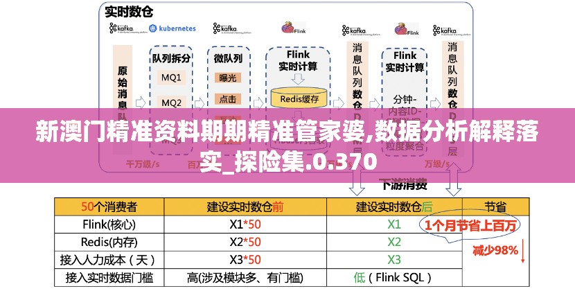 新澳门精准资料期期精准管家婆,数据分析解释落实_探险集.0.370