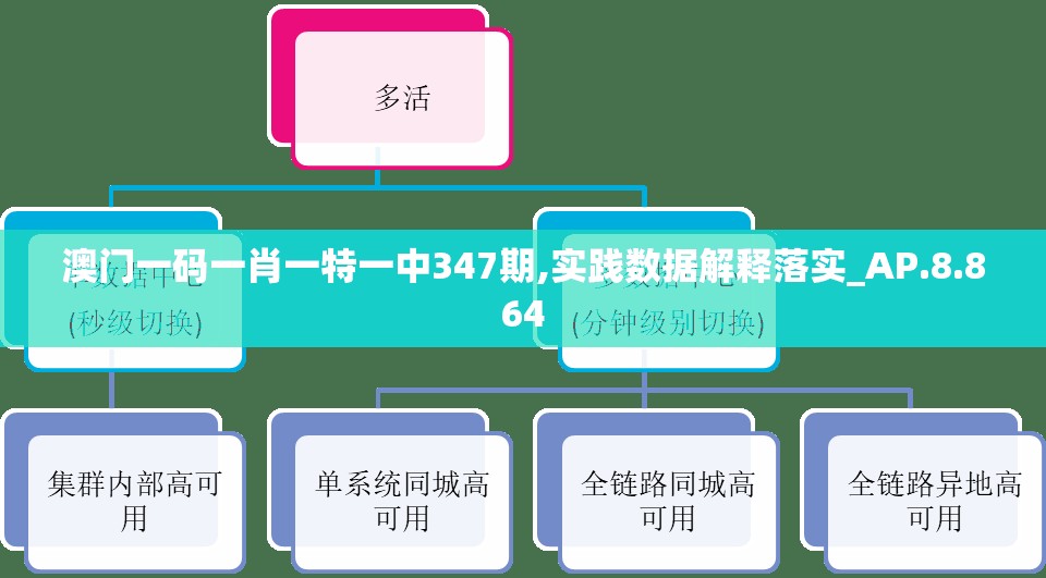 澳门一码一肖一特一中347期,实践数据解释落实_AP.8.864