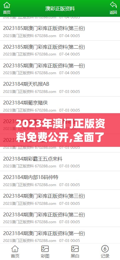 2023年澳门正版资料免费公开,全面了解最新正品的解答与应用_探险集.0.370