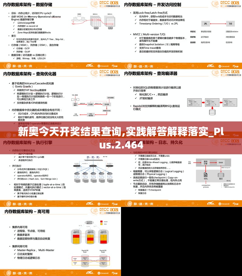 新奥今天开奖结果查询,实践解答解释落实_Plus.2.464