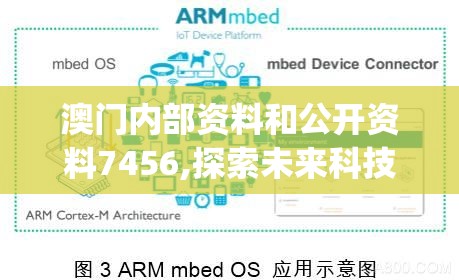 澳门内部资料和公开资料7456,探索未来科技发展趋势_嵌入款.0.126