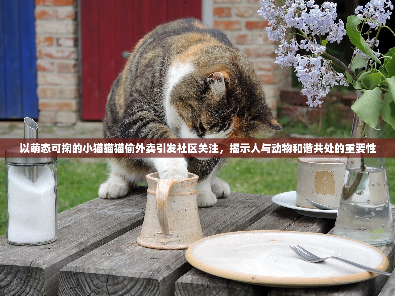 以萌态可掬的小猫猫猫偷外卖引发社区关注，揭示人与动物和谐共处的重要性