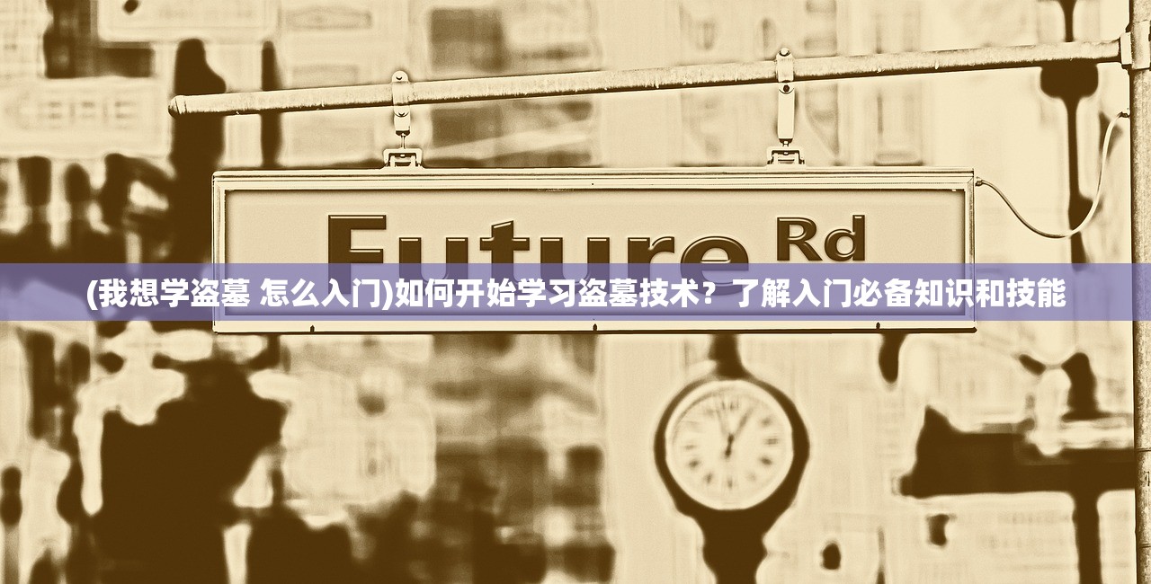 (我想学盗墓 怎么入门)如何开始学习盗墓技术？了解入门必备知识和技能