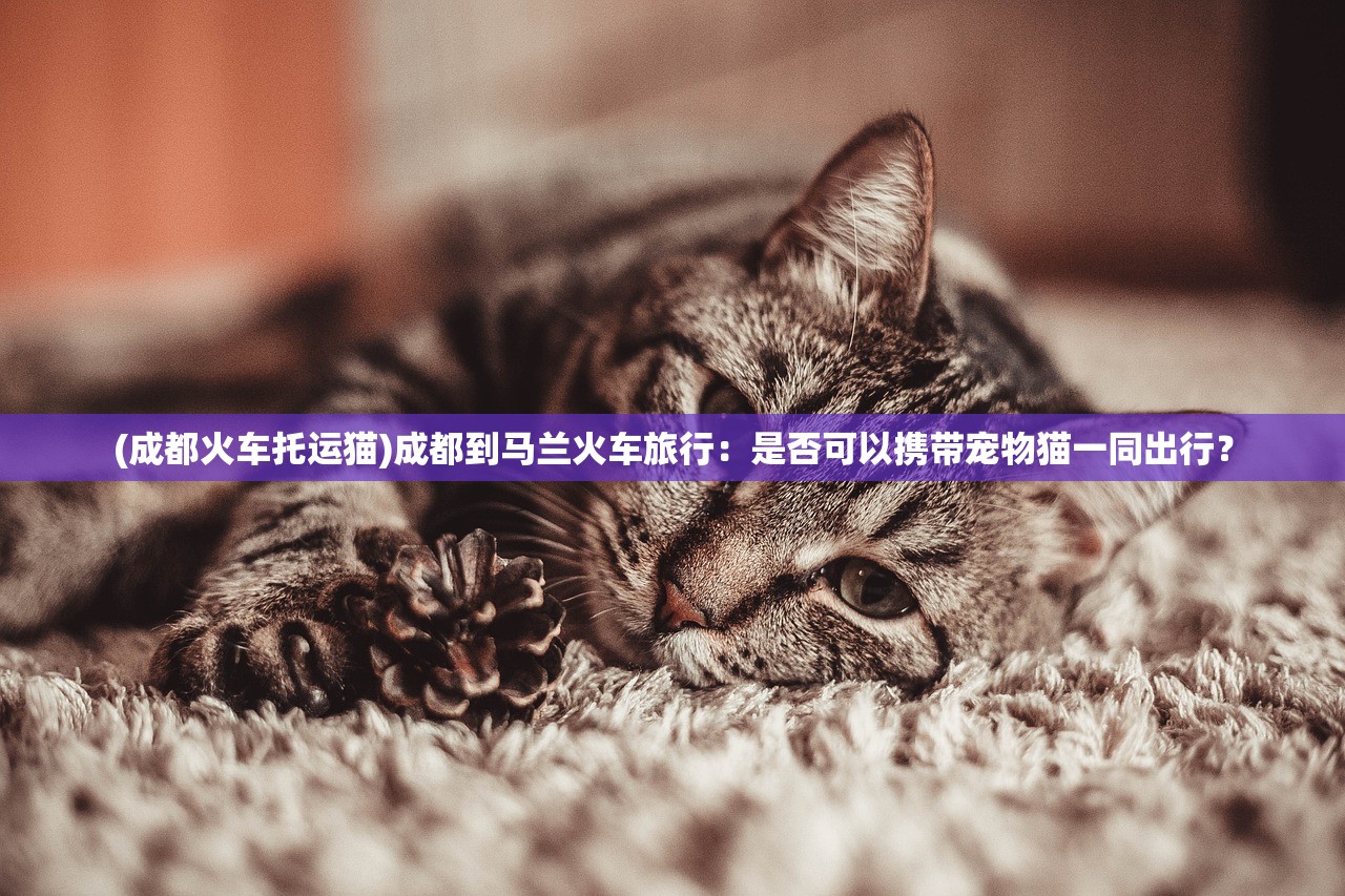 (成都火车托运猫)成都到马兰火车旅行：是否可以携带宠物猫一同出行？