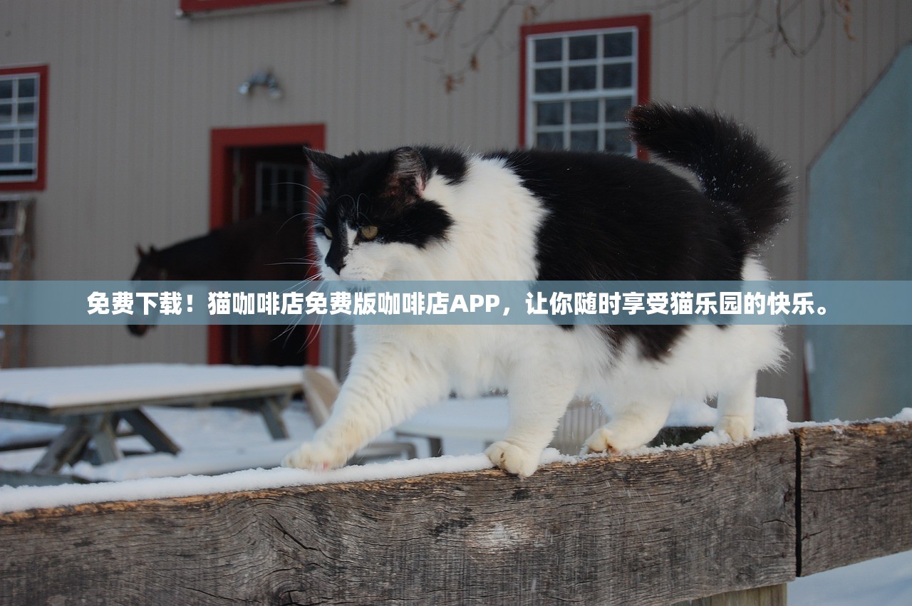 免费下载！猫咖啡店免费版咖啡店APP，让你随时享受猫乐园的快乐。