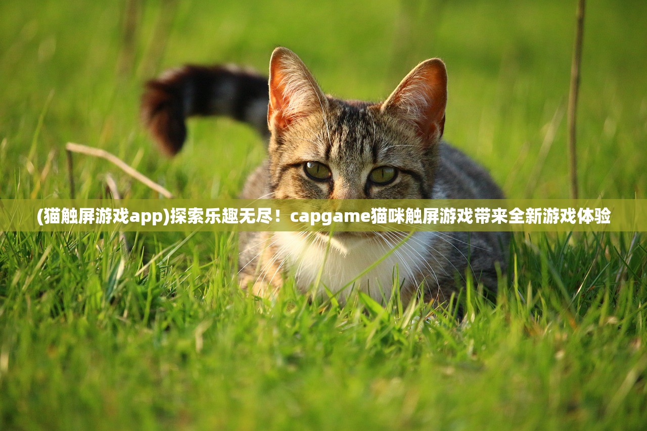 (猫触屏游戏app)探索乐趣无尽！capgame猫咪触屏游戏带来全新游戏体验