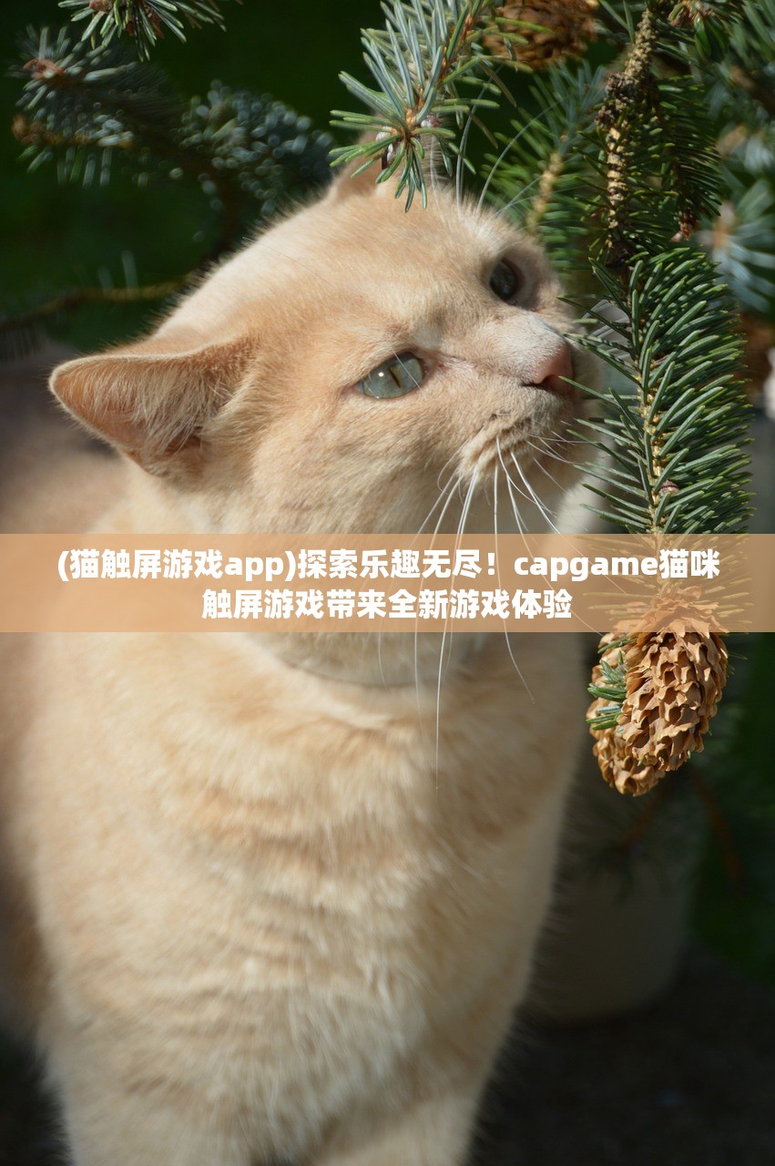 (猫触屏游戏app)探索乐趣无尽！capgame猫咪触屏游戏带来全新游戏体验