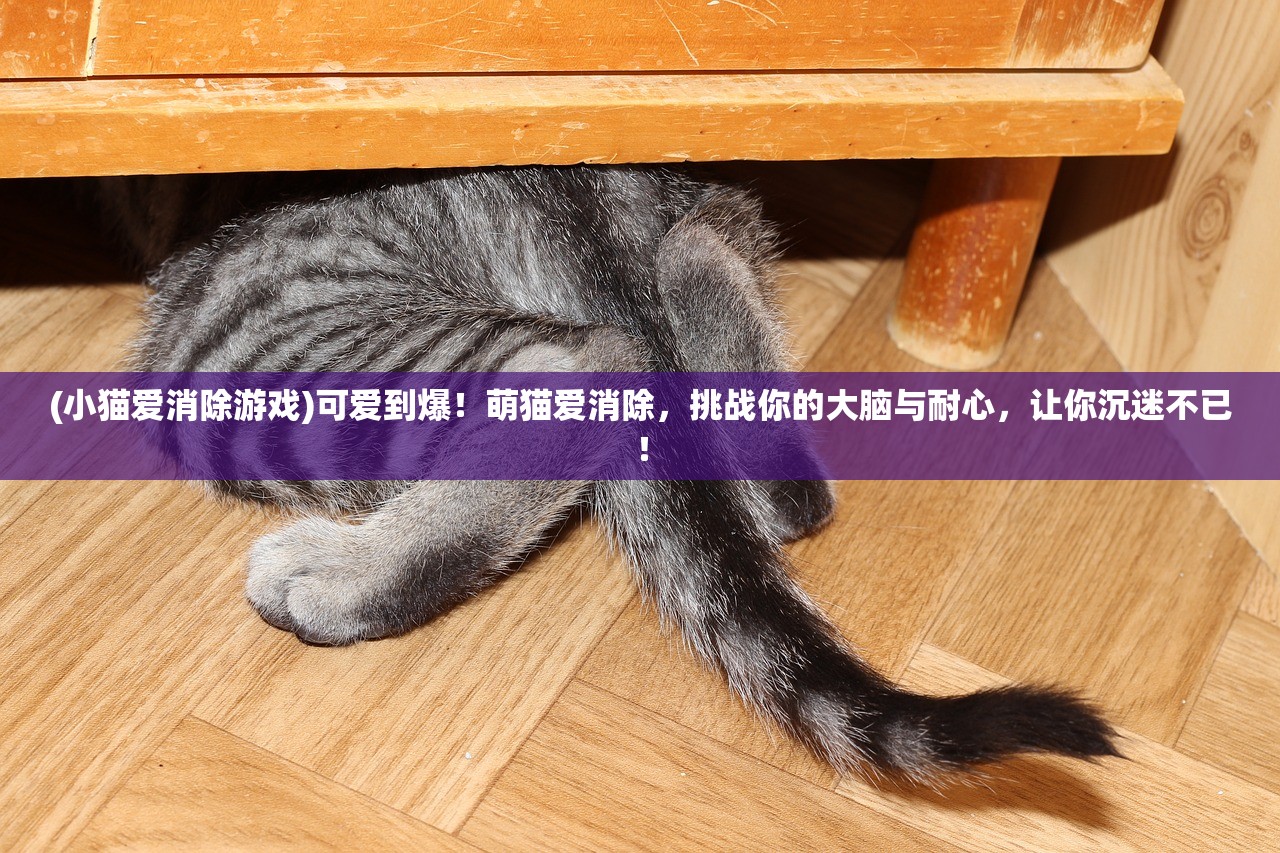 (小猫爱消除游戏)可爱到爆！萌猫爱消除，挑战你的大脑与耐心，让你沉迷不已！