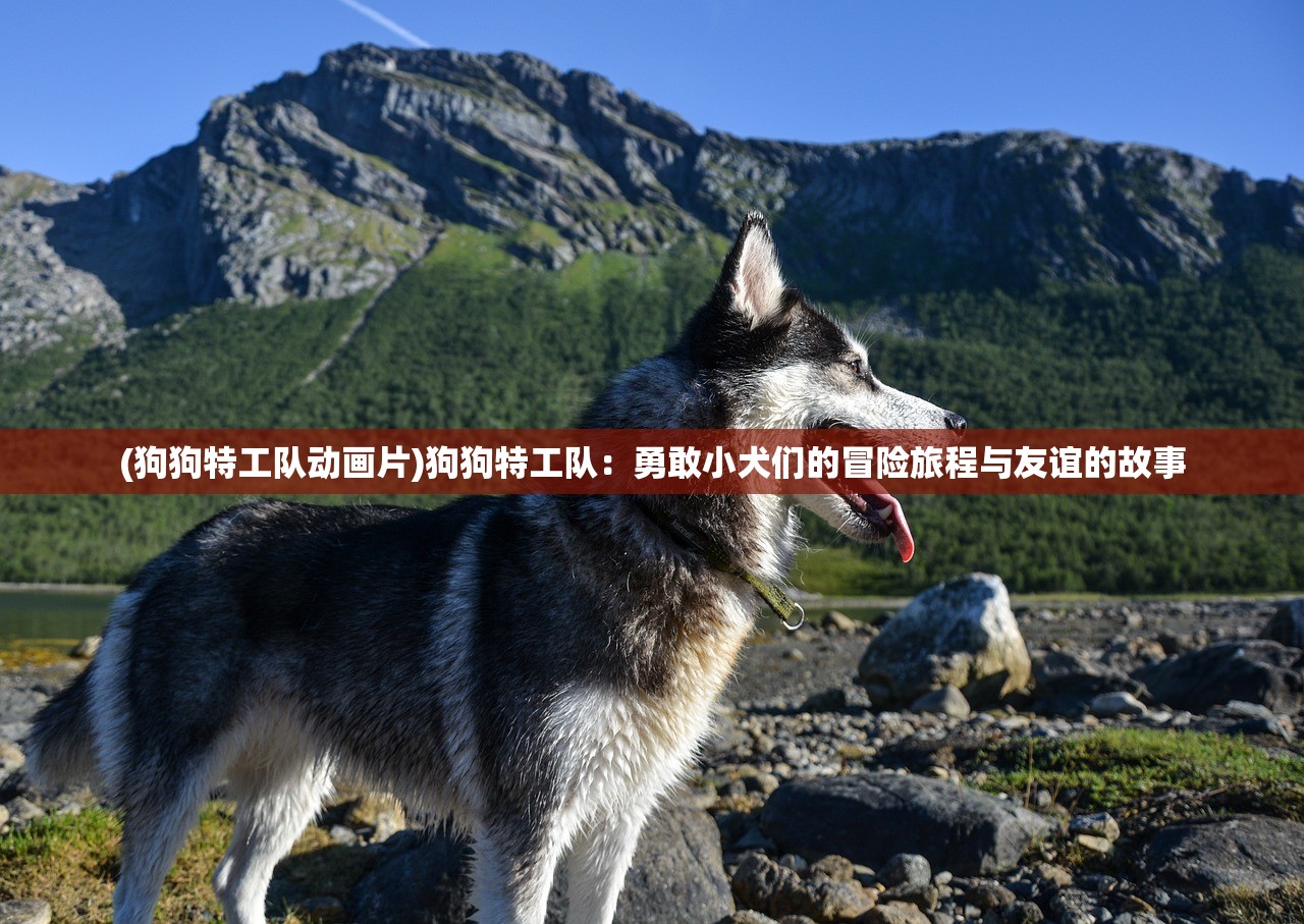 (狗狗特工队动画片)狗狗特工队：勇敢小犬们的冒险旅程与友谊的故事