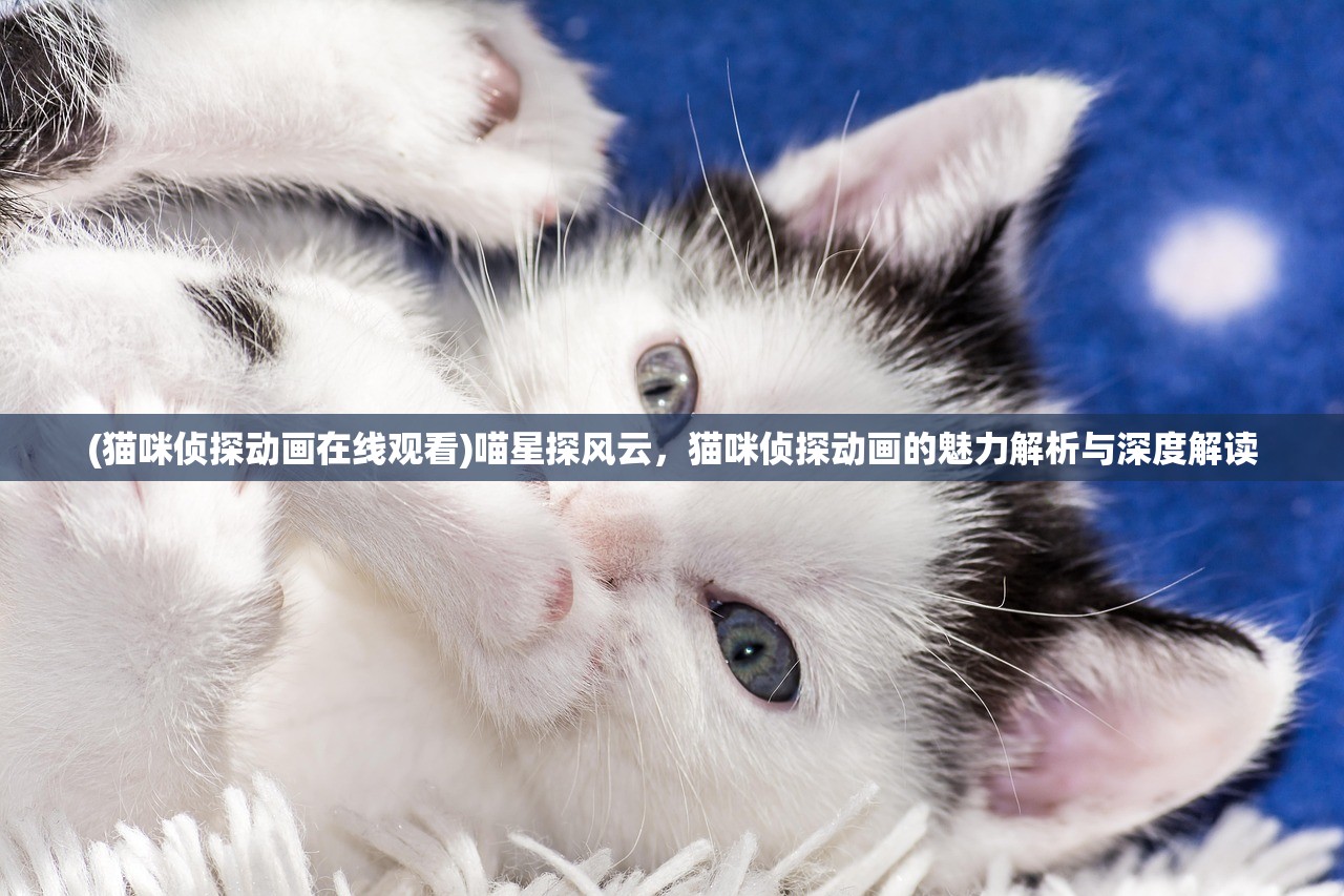 (猫咪侦探动画在线观看)喵星探风云，猫咪侦探动画的魅力解析与深度解读