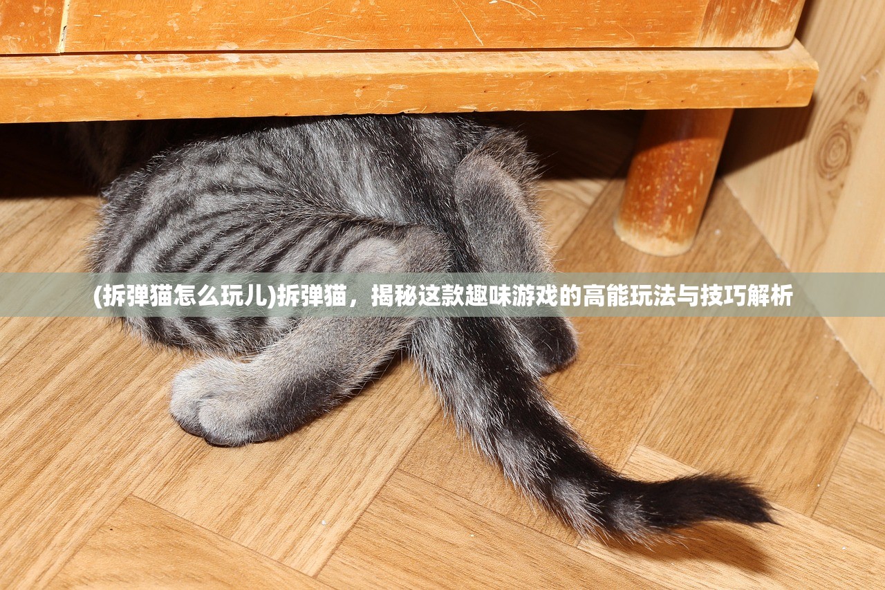 (拆弹猫怎么玩儿)拆弹猫，揭秘这款趣味游戏的高能玩法与技巧解析