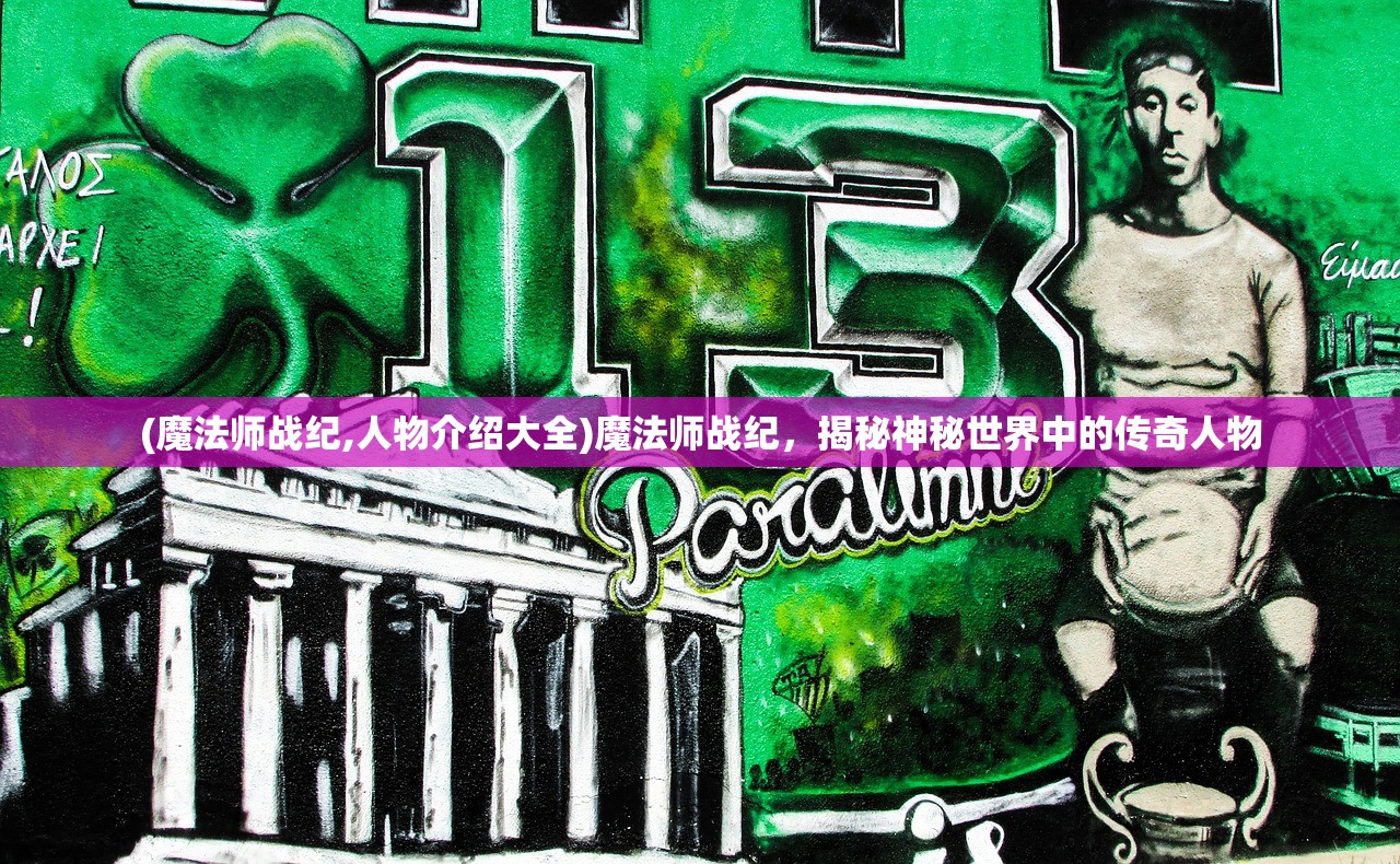 (魔法师战纪,人物介绍大全)魔法师战纪，揭秘神秘世界中的传奇人物