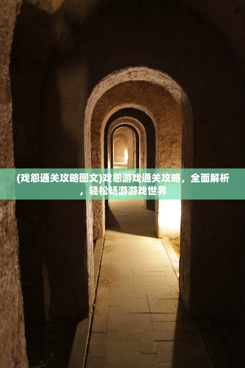(戏怨通关攻略图文)戏怨游戏通关攻略，全面解析，轻松畅游游戏世界