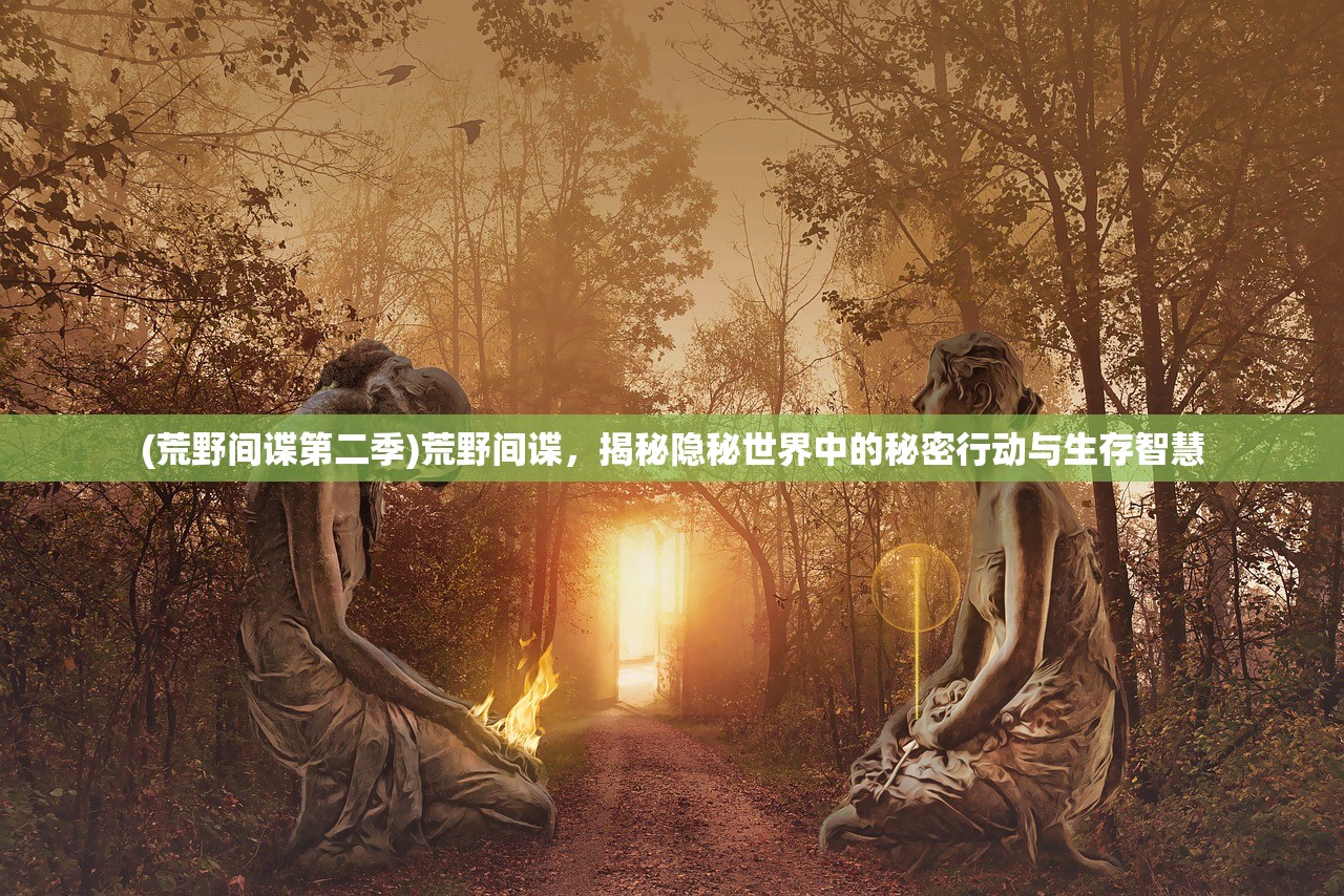 (荒野间谍第二季)荒野间谍，揭秘隐秘世界中的秘密行动与生存智慧