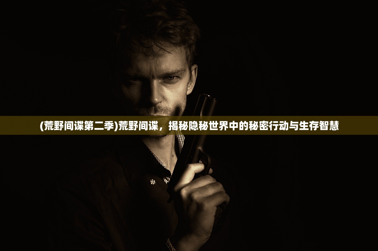(荒野间谍第二季)荒野间谍，揭秘隐秘世界中的秘密行动与生存智慧