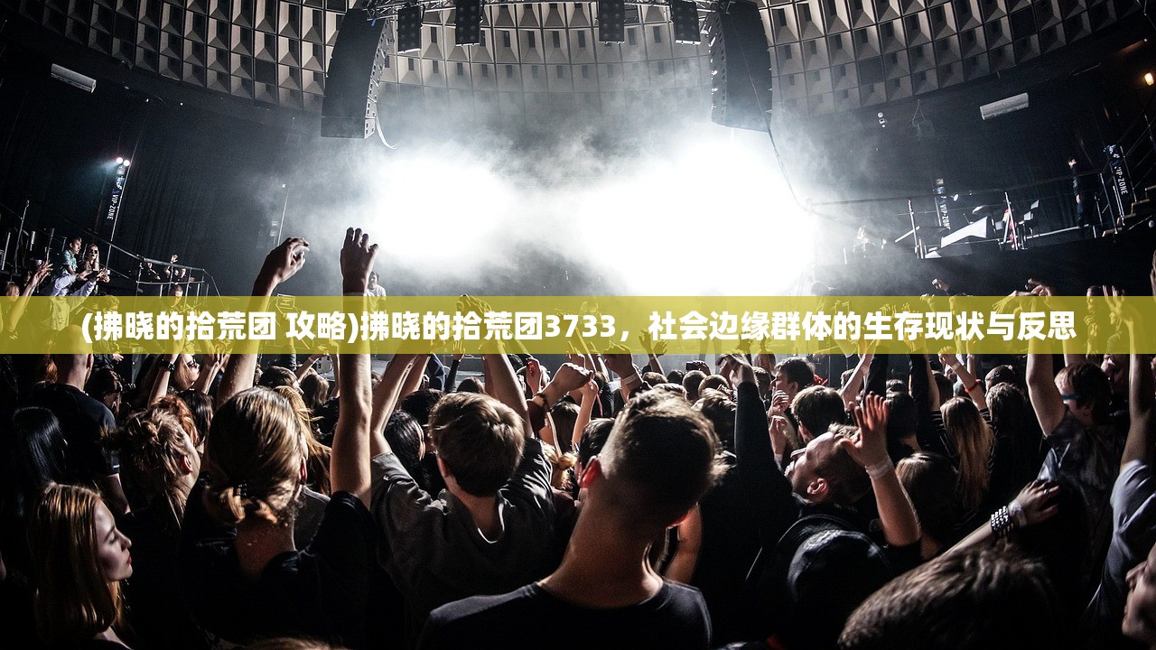 (拂晓的拾荒团 攻略)拂晓的拾荒团3733，社会边缘群体的生存现状与反思