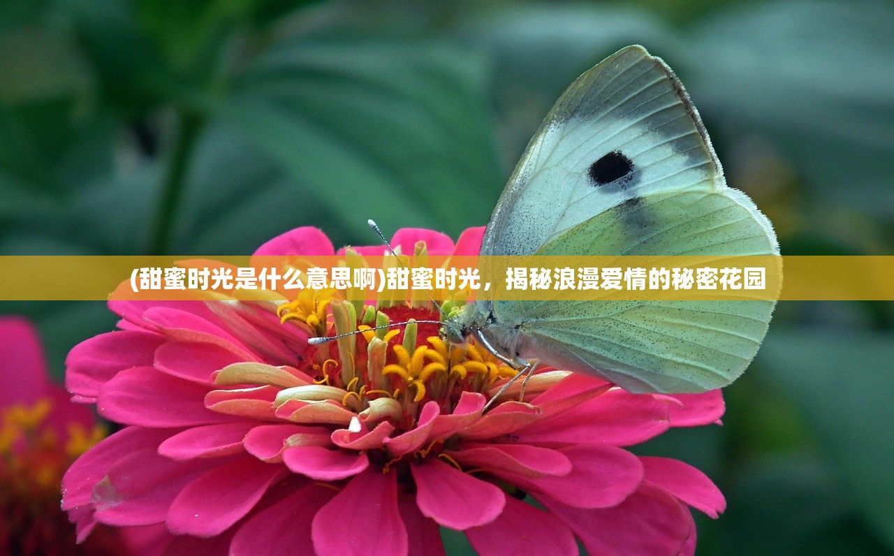 (甜蜜时光是什么意思啊)甜蜜时光，揭秘浪漫爱情的秘密花园