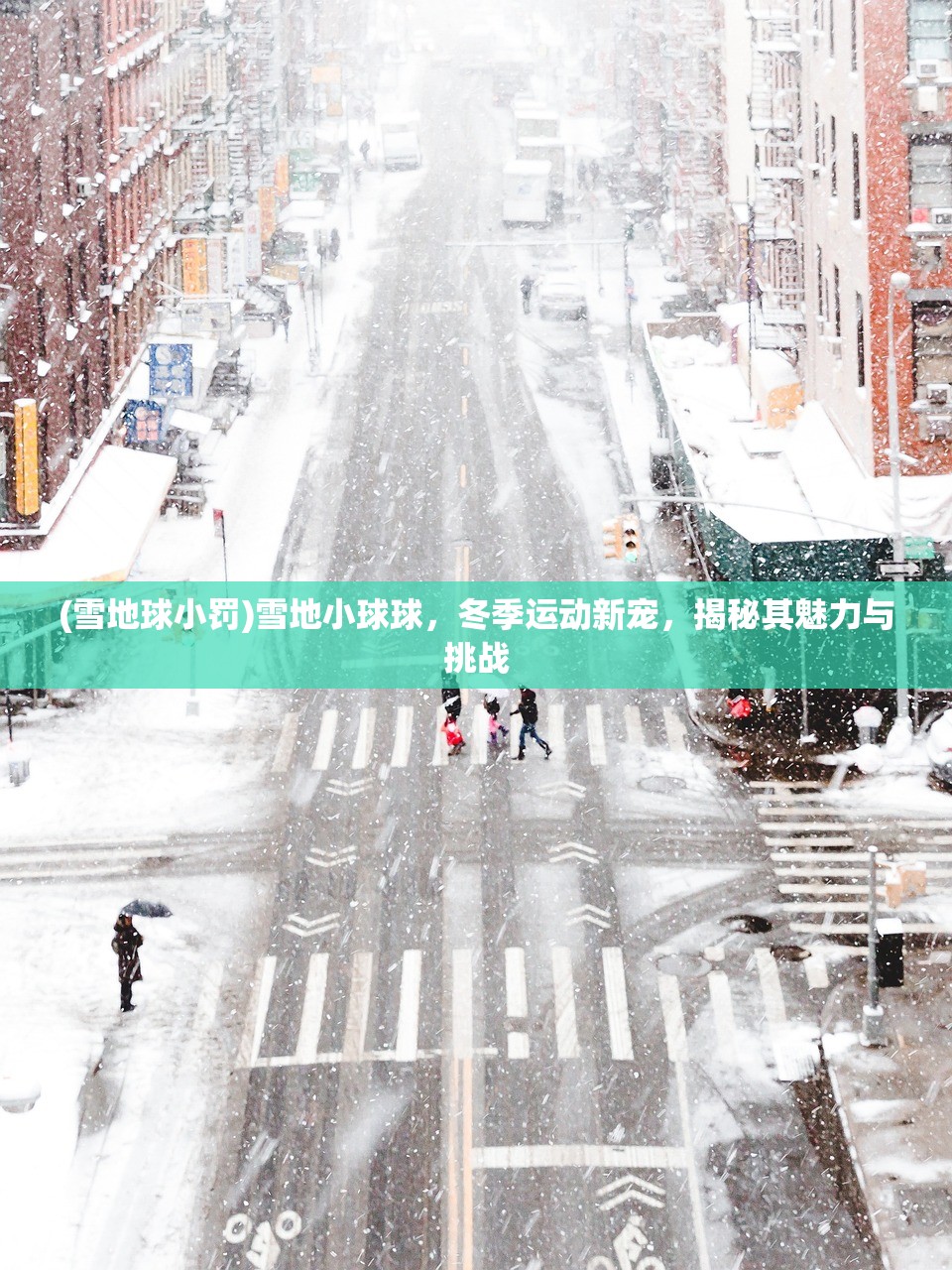 (雪地球小罚)雪地小球球，冬季运动新宠，揭秘其魅力与挑战