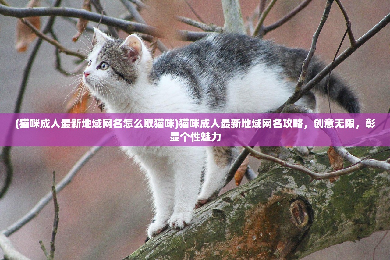 (猫咪成人最新地域网名怎么取猫咪)猫咪成人最新地域网名攻略，创意无限，彰显个性魅力