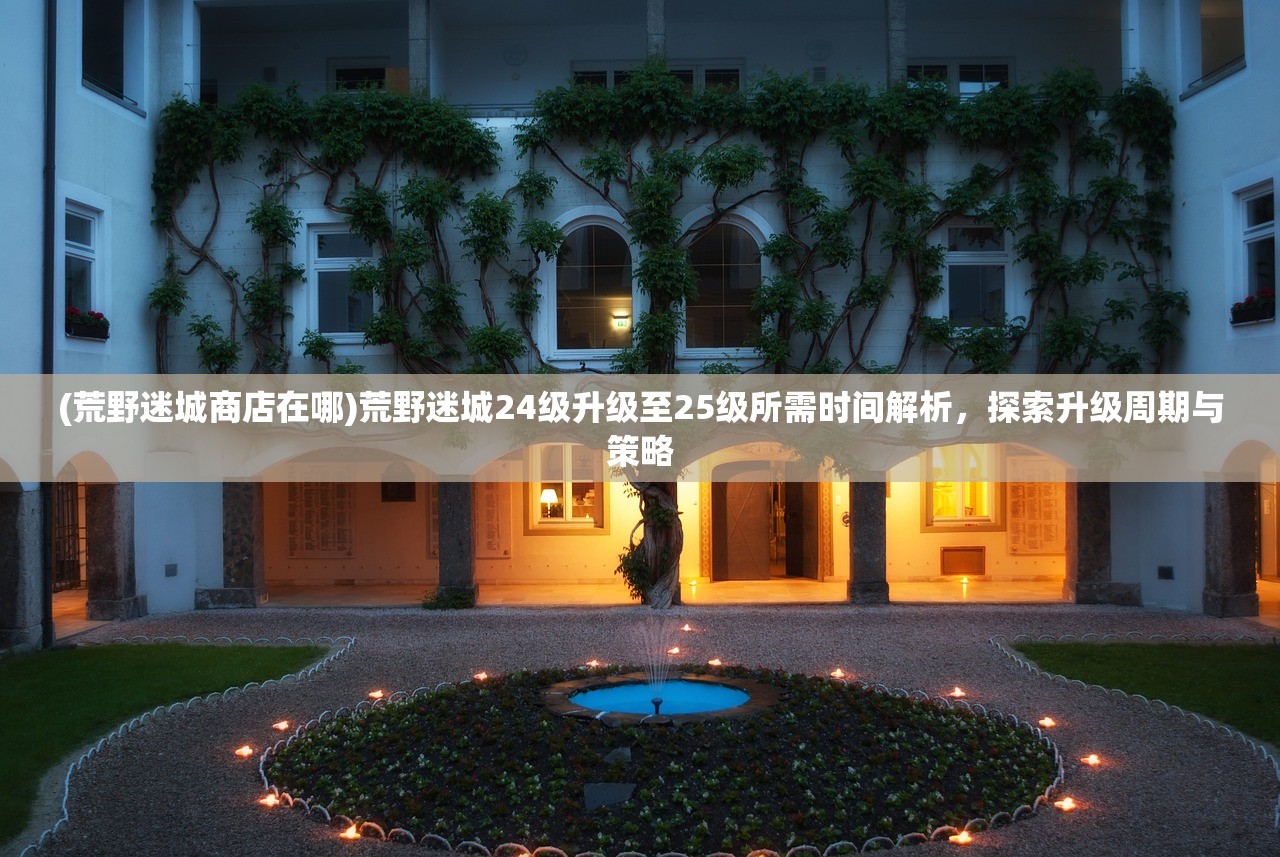 (荒野迷城商店在哪)荒野迷城24级升级至25级所需时间解析，探索升级周期与策略