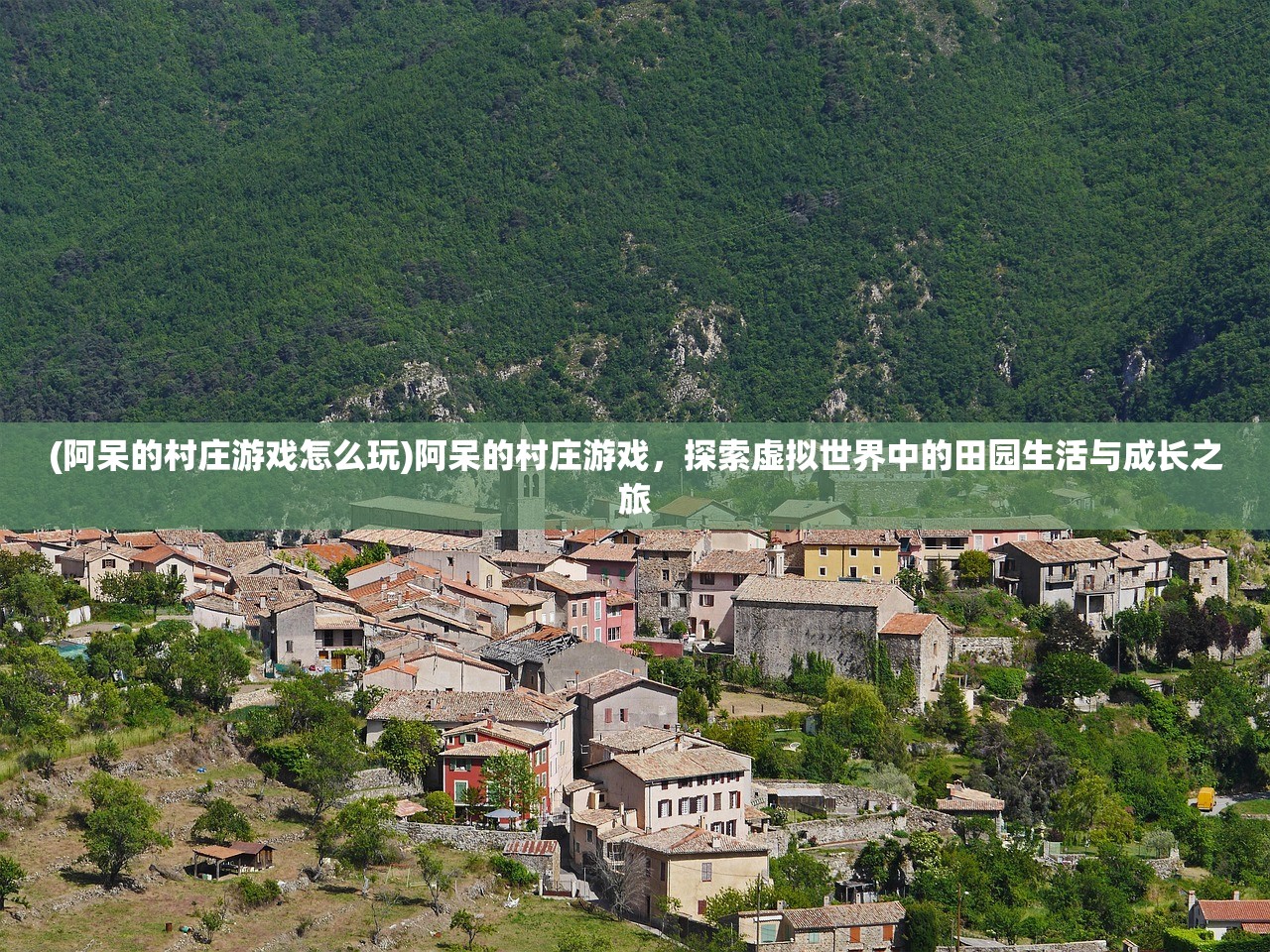 (阿呆的村庄游戏怎么玩)阿呆的村庄游戏，探索虚拟世界中的田园生活与成长之旅