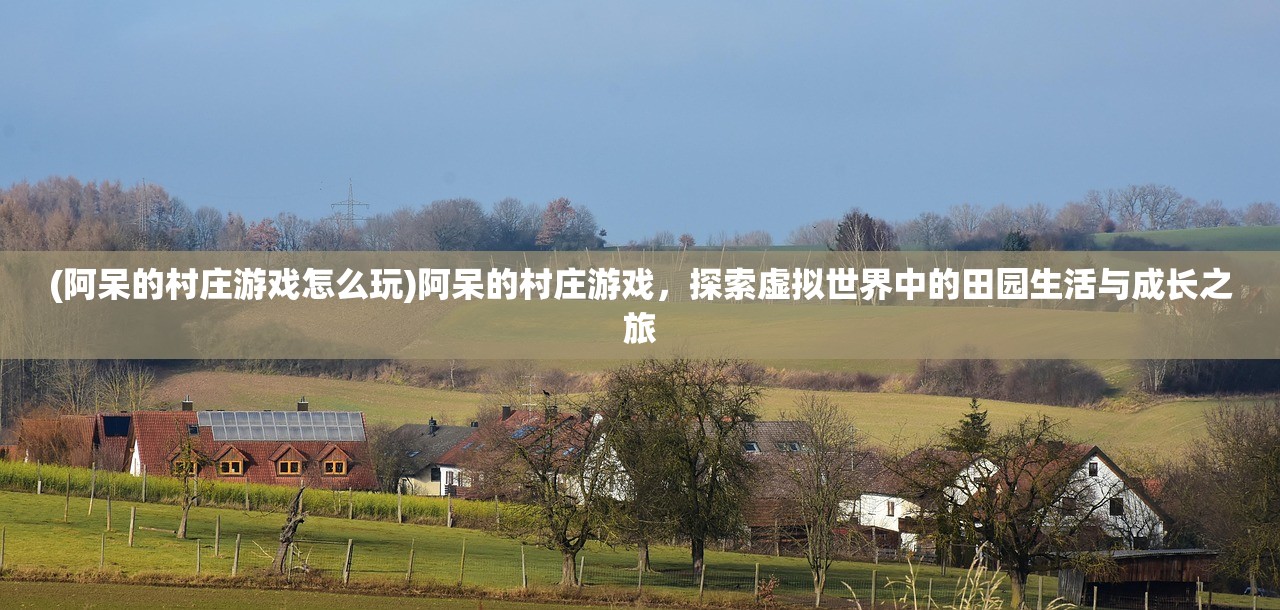 (阿呆的村庄游戏怎么玩)阿呆的村庄游戏，探索虚拟世界中的田园生活与成长之旅