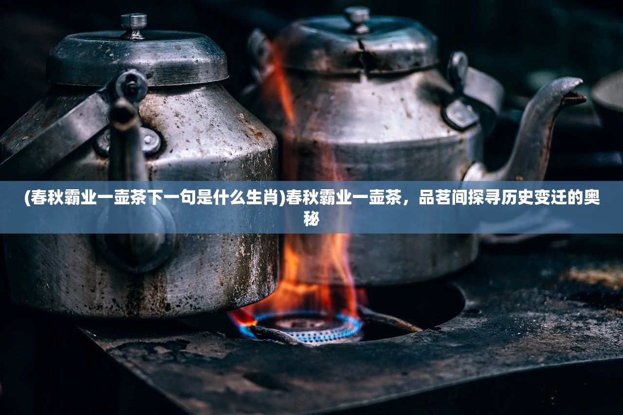 (春秋霸业一壶茶下一句是什么生肖)春秋霸业一壶茶，品茗间探寻历史变迁的奥秘