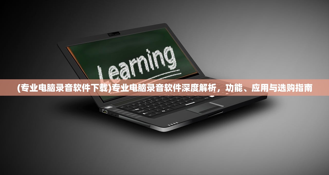 (专业电脑录音软件下载)专业电脑录音软件深度解析，功能、应用与选购指南