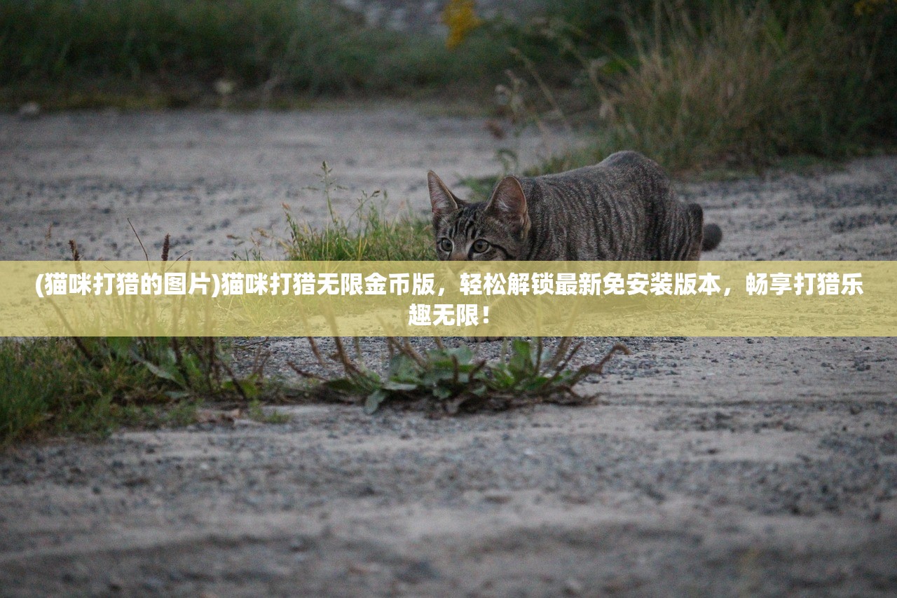 (猫咪打猎的图片)猫咪打猎无限金币版，轻松解锁最新免安装版本，畅享打猎乐趣无限！