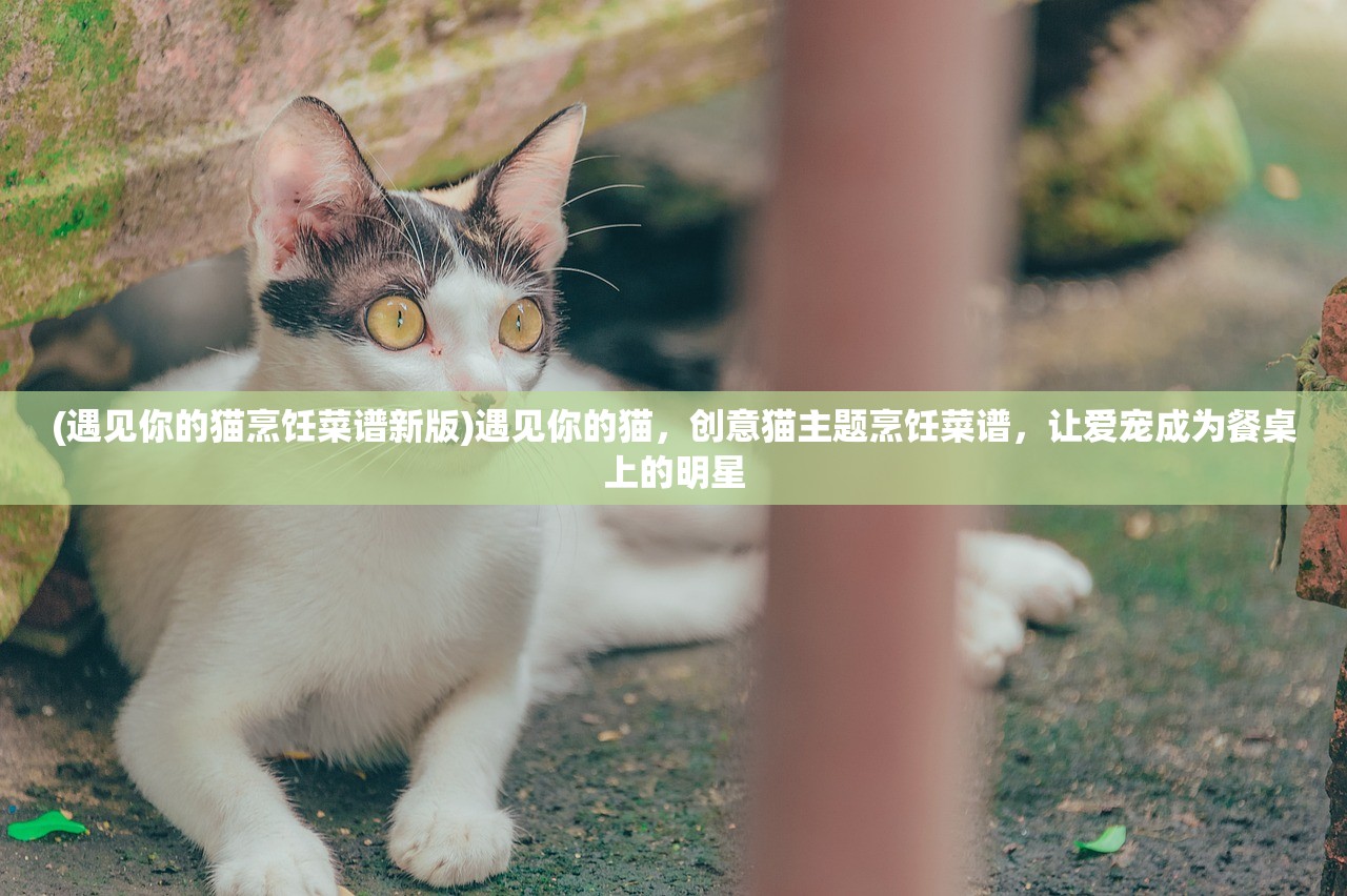 (遇见你的猫烹饪菜谱新版)遇见你的猫，创意猫主题烹饪菜谱，让爱宠成为餐桌上的明星