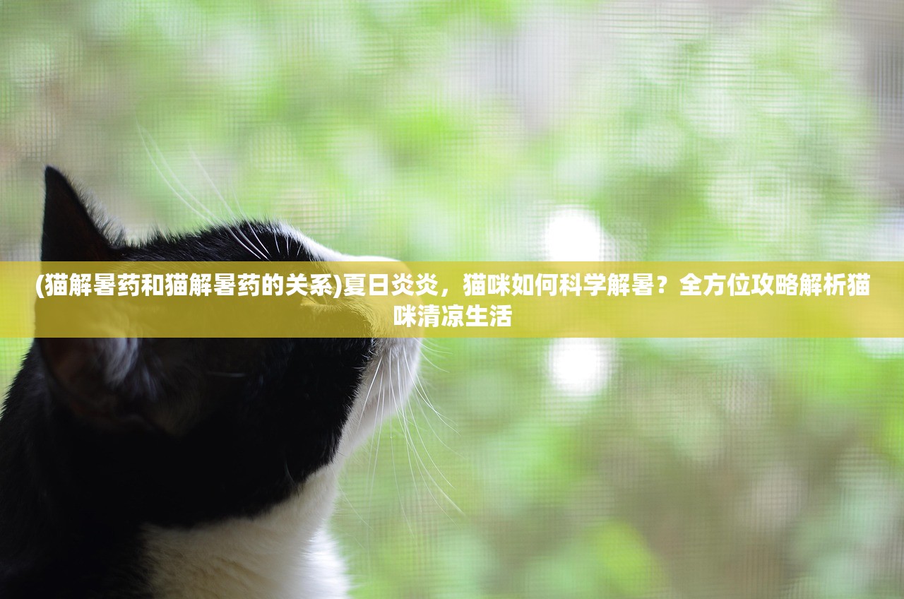 (猫解暑药和猫解暑药的关系)夏日炎炎，猫咪如何科学解暑？全方位攻略解析猫咪清凉生活