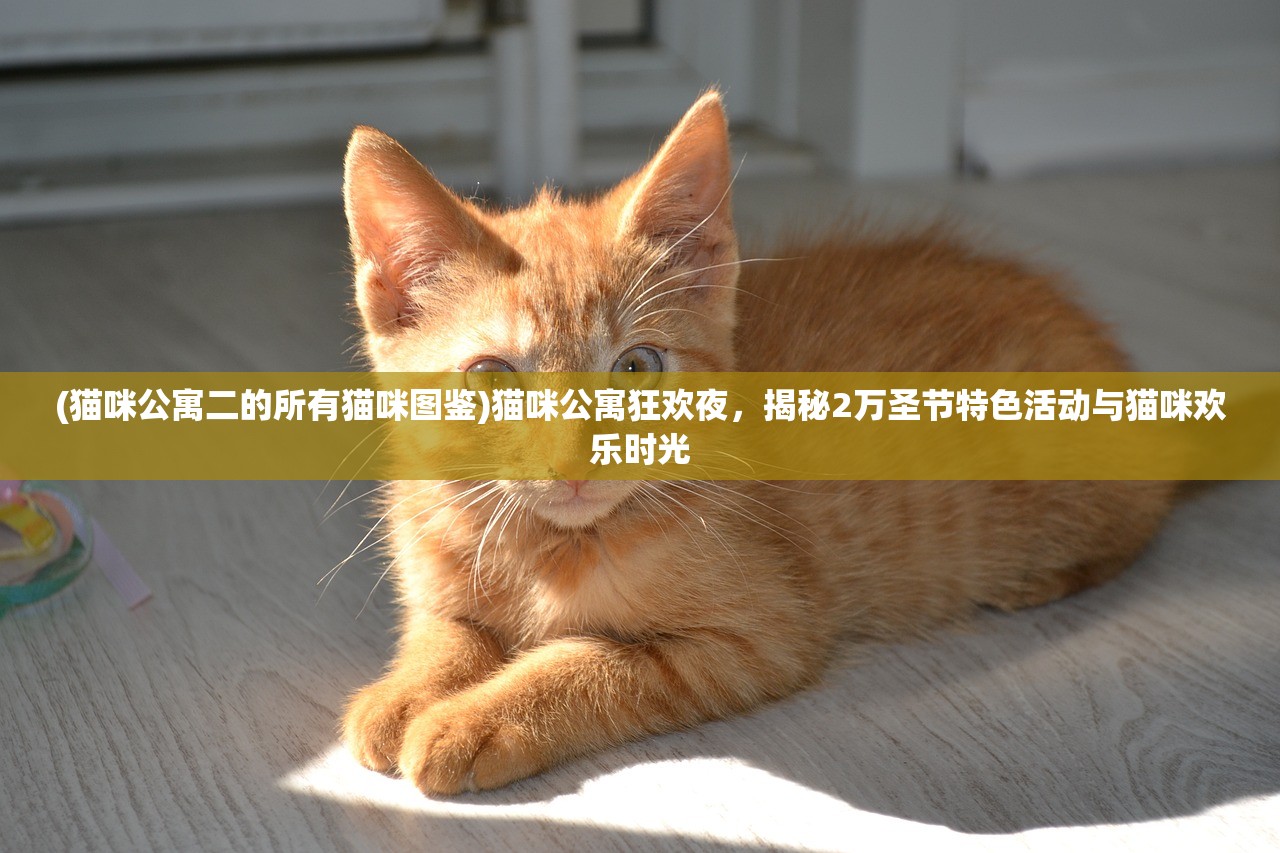 (猫咪公寓二的所有猫咪图鉴)猫咪公寓狂欢夜，揭秘2万圣节特色活动与猫咪欢乐时光