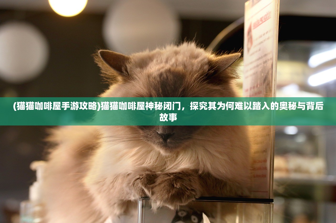 (猫猫咖啡屋手游攻略)猫猫咖啡屋神秘闭门，探究其为何难以踏入的奥秘与背后故事