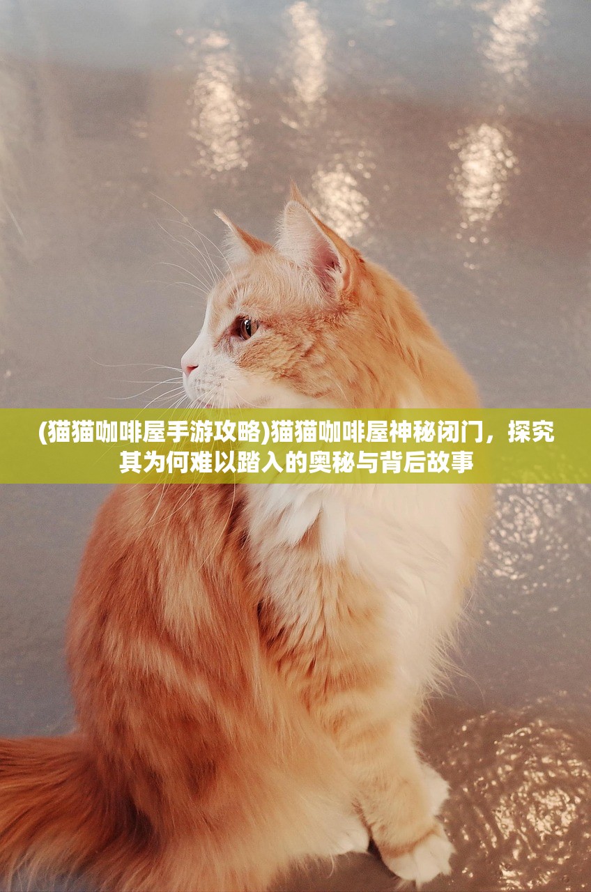 (猫猫咖啡屋手游攻略)猫猫咖啡屋神秘闭门，探究其为何难以踏入的奥秘与背后故事