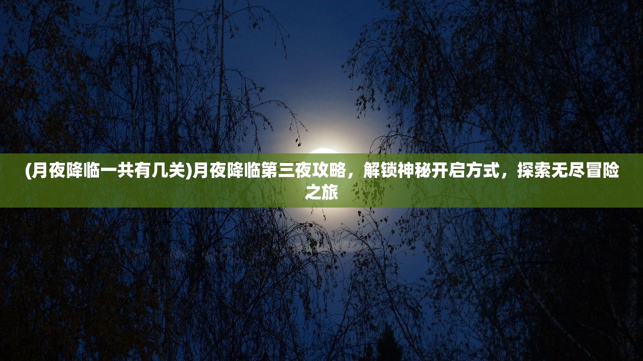 (弓箭传说2.8.5)弓箭传说2内测前瞻，传承经典，探索新篇章——深度解析弓箭传说2的革新与挑战