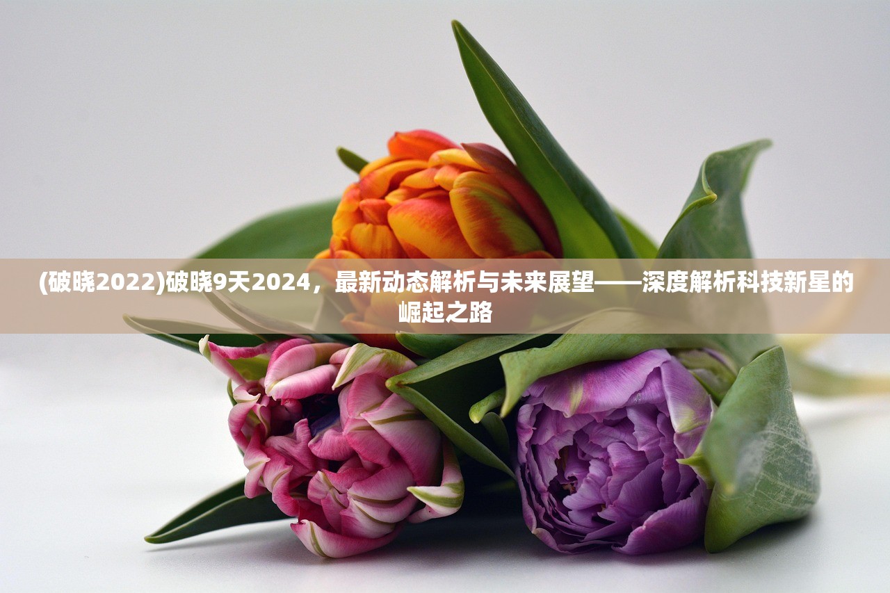 (破晓2022)破晓9天2024，最新动态解析与未来展望——深度解析科技新星的崛起之路