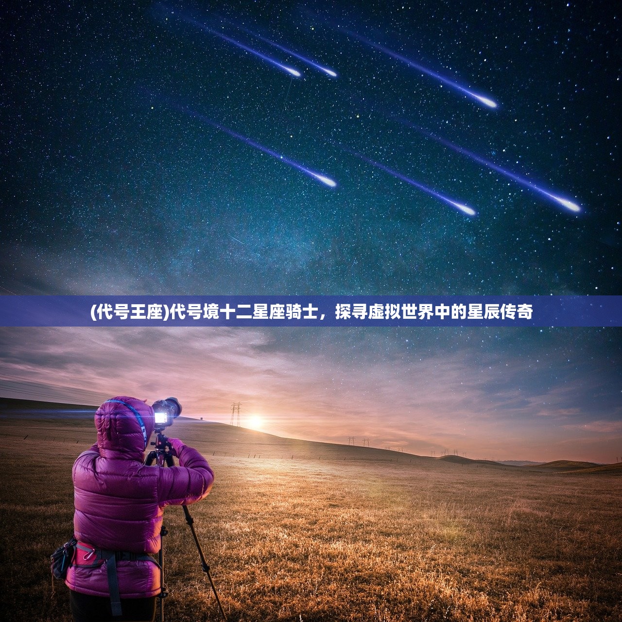 (代号王座)代号境十二星座骑士，探寻虚拟世界中的星辰传奇