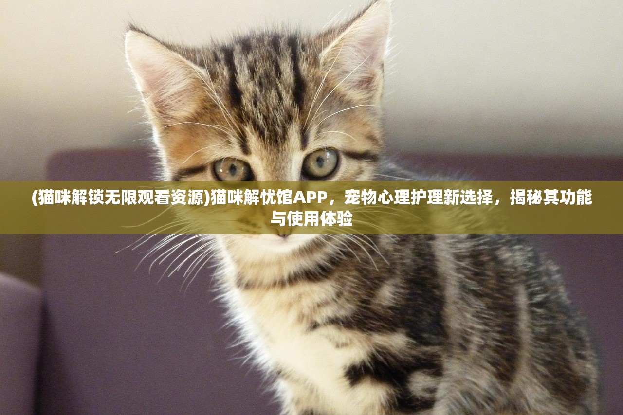 (猫咪解锁无限观看资源)猫咪解忧馆APP，宠物心理护理新选择，揭秘其功能与使用体验