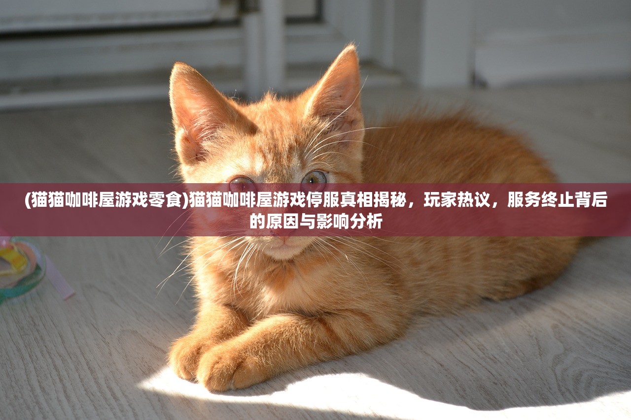 (猫猫咖啡屋游戏零食)猫猫咖啡屋游戏停服真相揭秘，玩家热议，服务终止背后的原因与影响分析