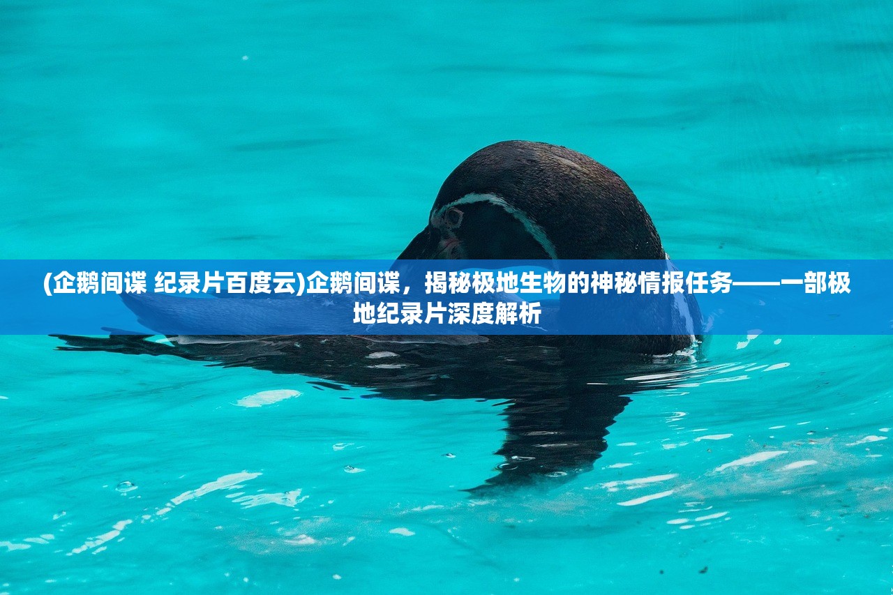 (企鹅间谍 纪录片百度云)企鹅间谍，揭秘极地生物的神秘情报任务——一部极地纪录片深度解析