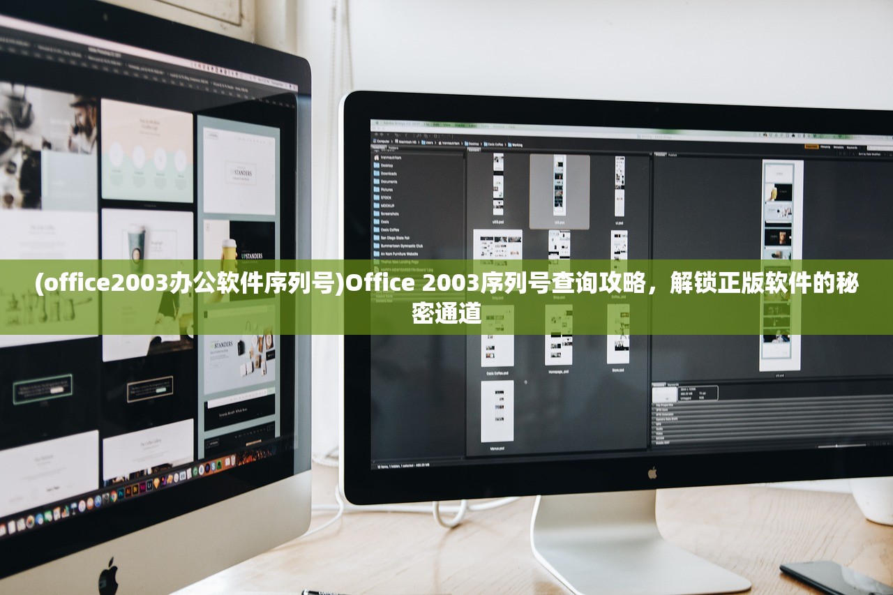 (office2003办公软件序列号)Office 2003序列号查询攻略，解锁正版软件的秘密通道