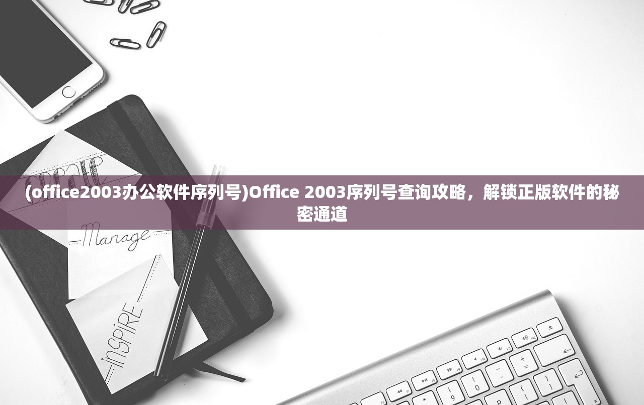 (office2003办公软件序列号)Office 2003序列号查询攻略，解锁正版软件的秘密通道