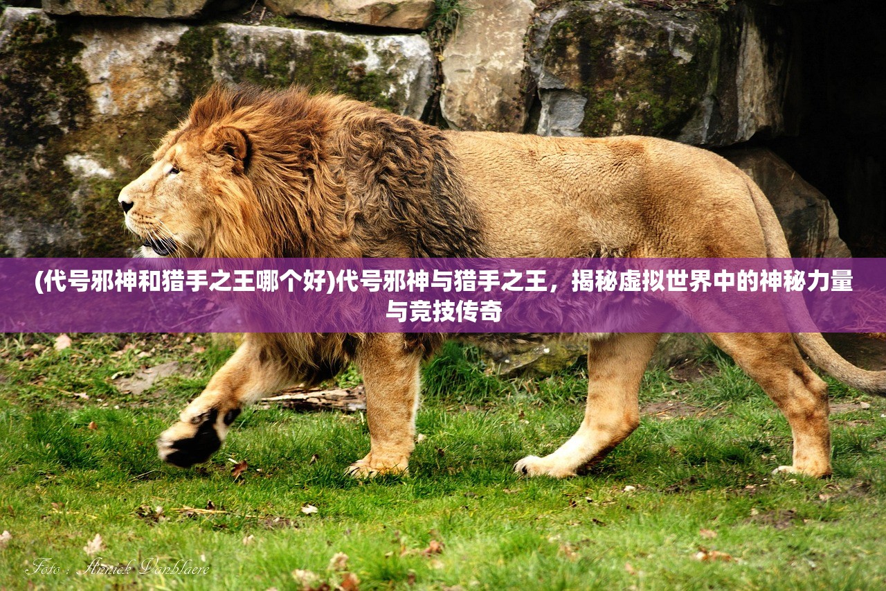 (代号邪神和猎手之王哪个好)代号邪神与猎手之王，揭秘虚拟世界中的神秘力量与竞技传奇