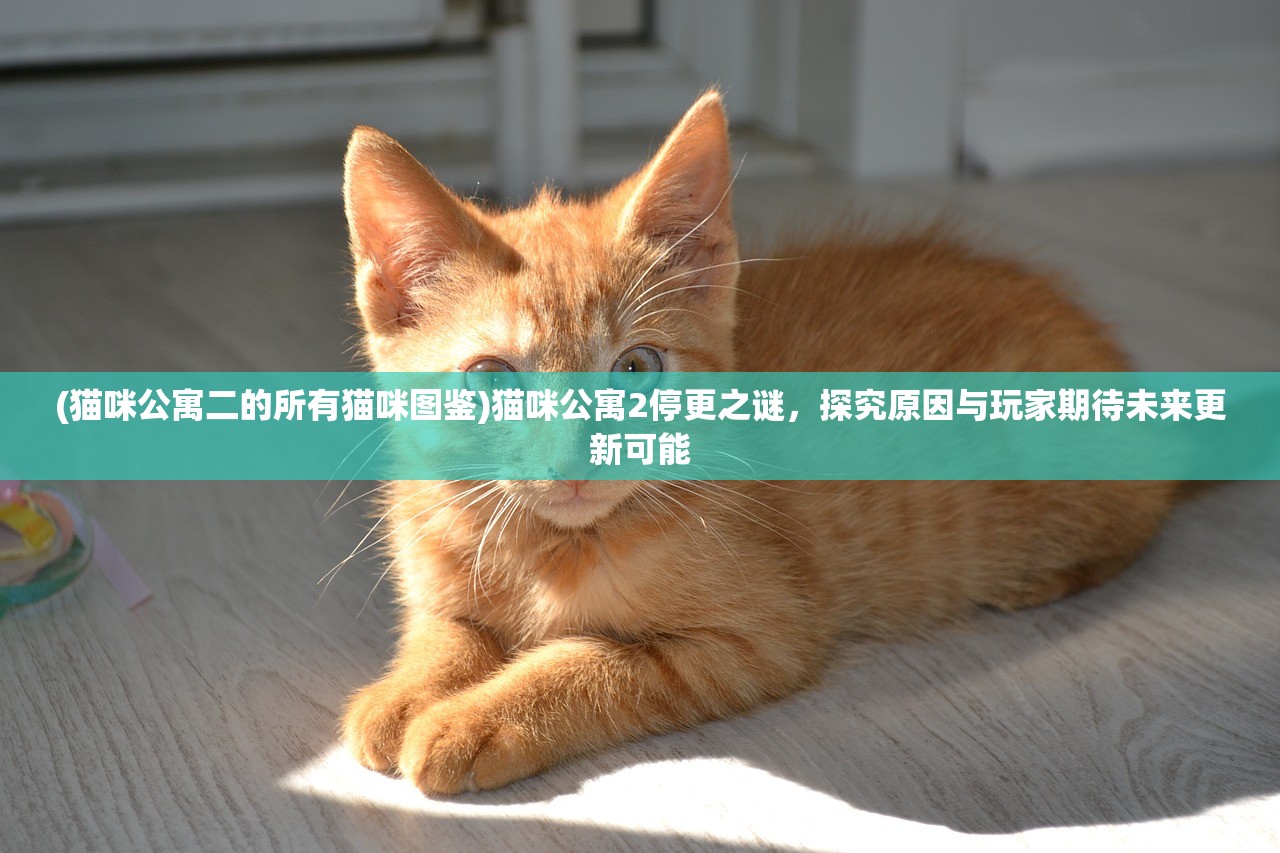 (猫咪公寓二的所有猫咪图鉴)猫咪公寓2停更之谜，探究原因与玩家期待未来更新可能