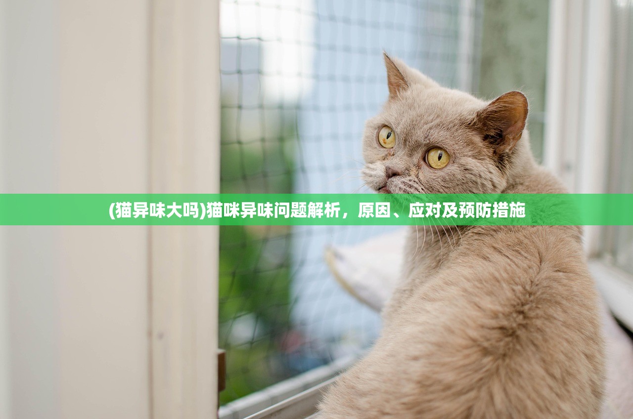 (猫异味大吗)猫咪异味问题解析，原因、应对及预防措施