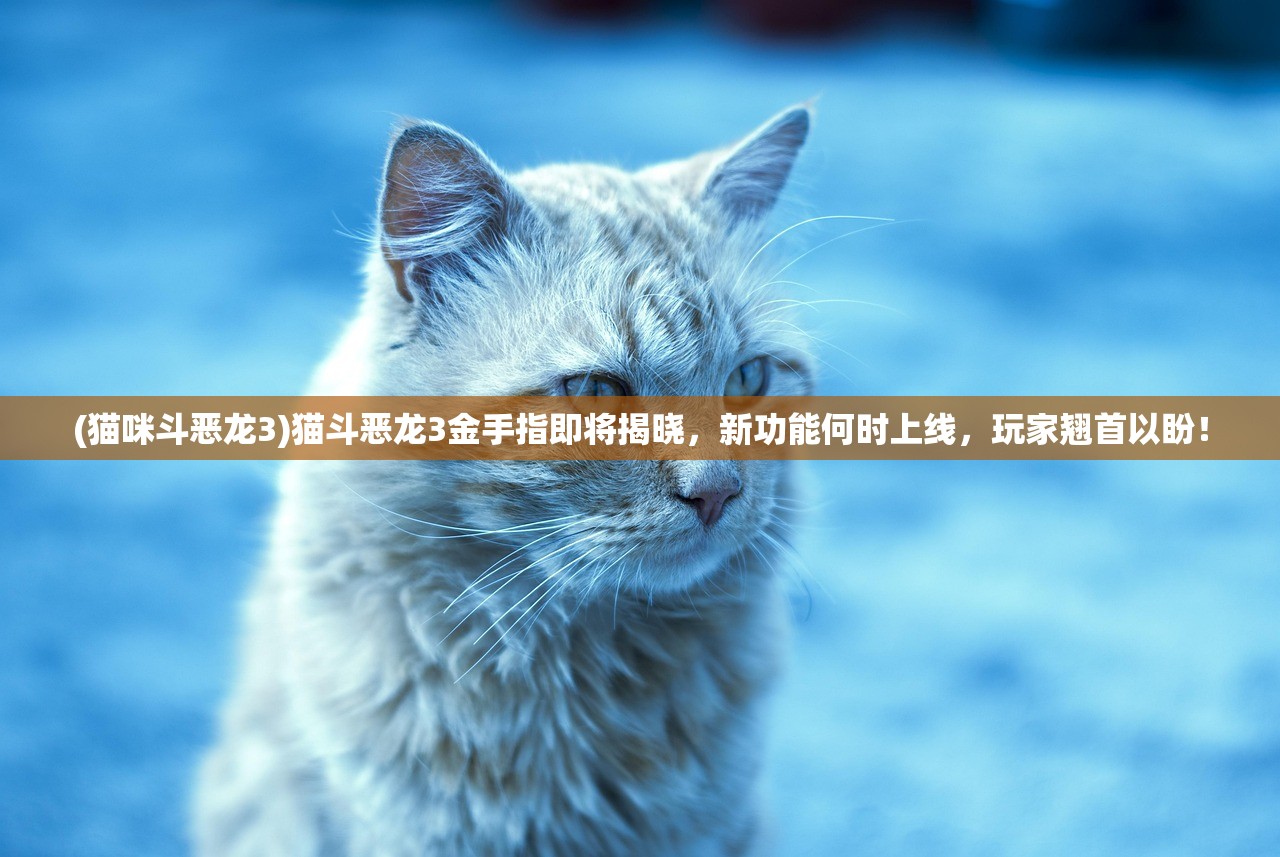 (猫咪斗恶龙3)猫斗恶龙3金手指即将揭晓，新功能何时上线，玩家翘首以盼！